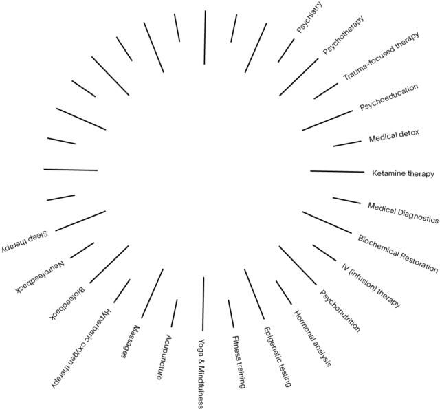 Diagramm des ganzheitlichen Behandlungsansatzes bei Paracelsus Recovery